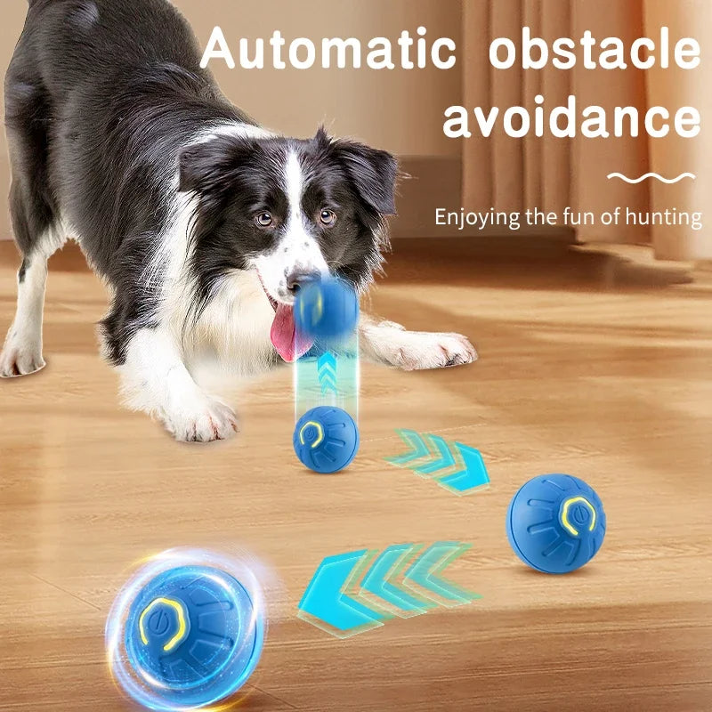 Interactive Moving Pet Ball – Smart Toy