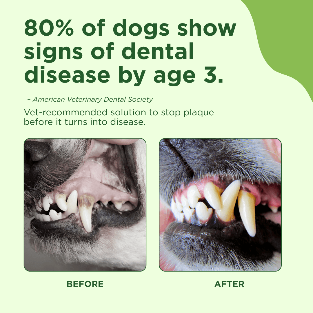 Oral Care Spray – No-Brush Pet Dental Care