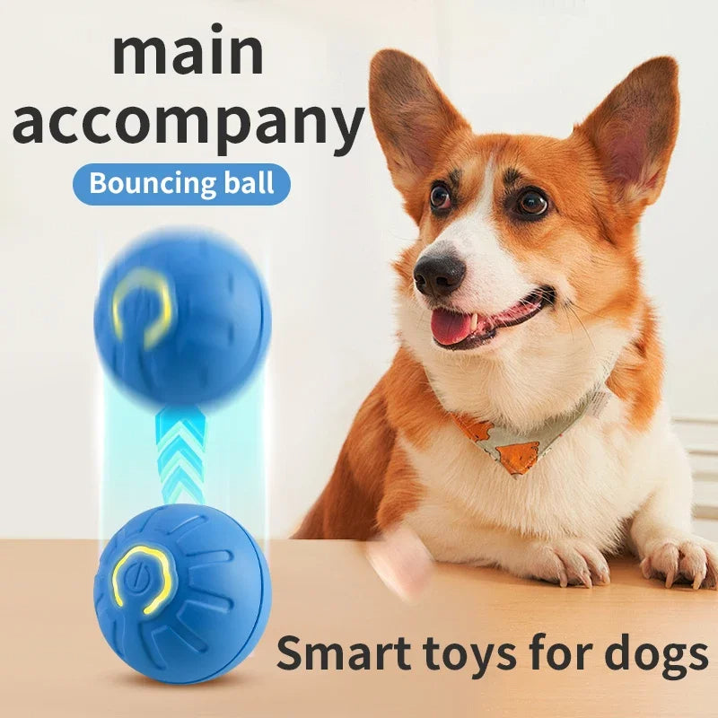 Interactive Moving Pet Ball – Smart Toy