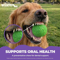 WUNDERball Fetch Toy – Durable Dog Ballh Toy