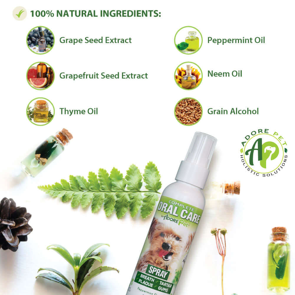 Oral Care Spray – No-Brush Pet Dental Care
