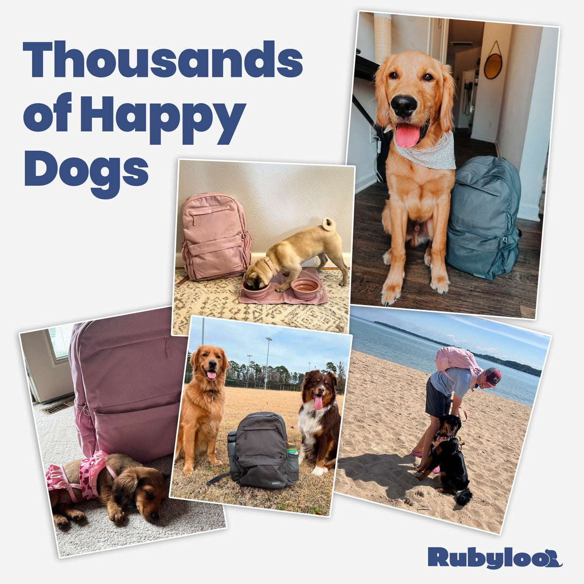 Dog Travel Backpack™ – All-in-One Pet Travel Bag