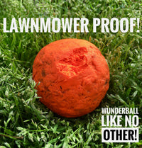 WUNDERball Fetch Toy – Durable Dog Ballh Toy
