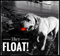 WUNDERball Fetch Toy – Durable Dog Ballh Toy