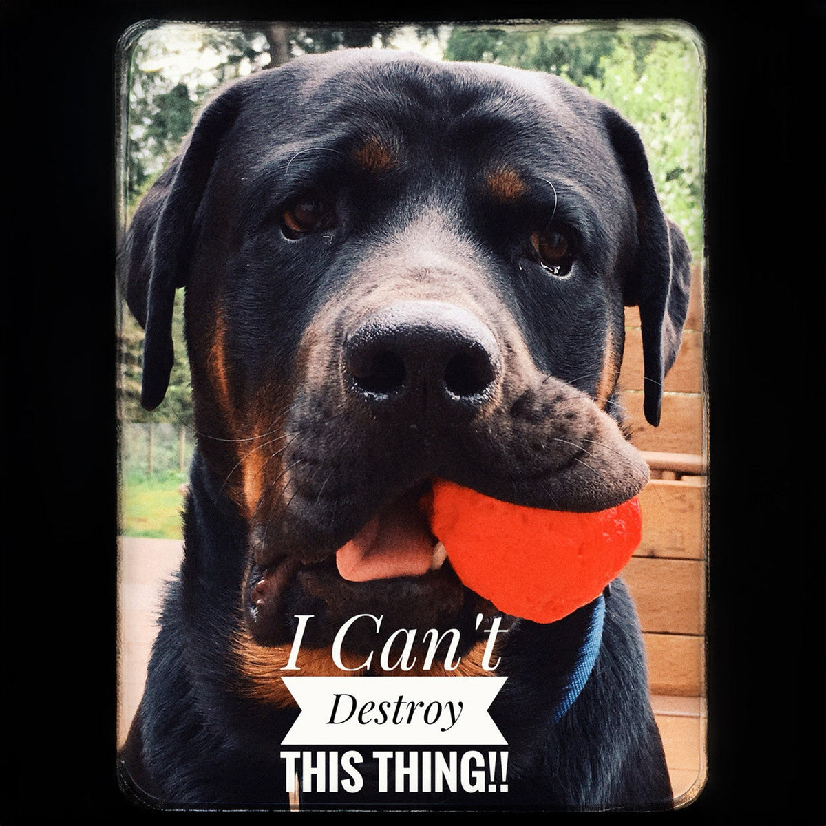 WUNDERball Fetch Toy – Durable Dog Ballh Toy