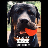 WUNDERball Fetch Toy – Durable Dog Ballh Toy