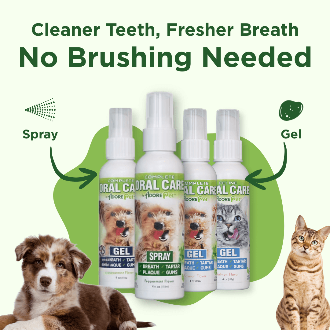 Oral Care Spray – No-Brush Pet Dental Care