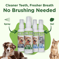 Oral Care Spray – No-Brush Pet Dental Care