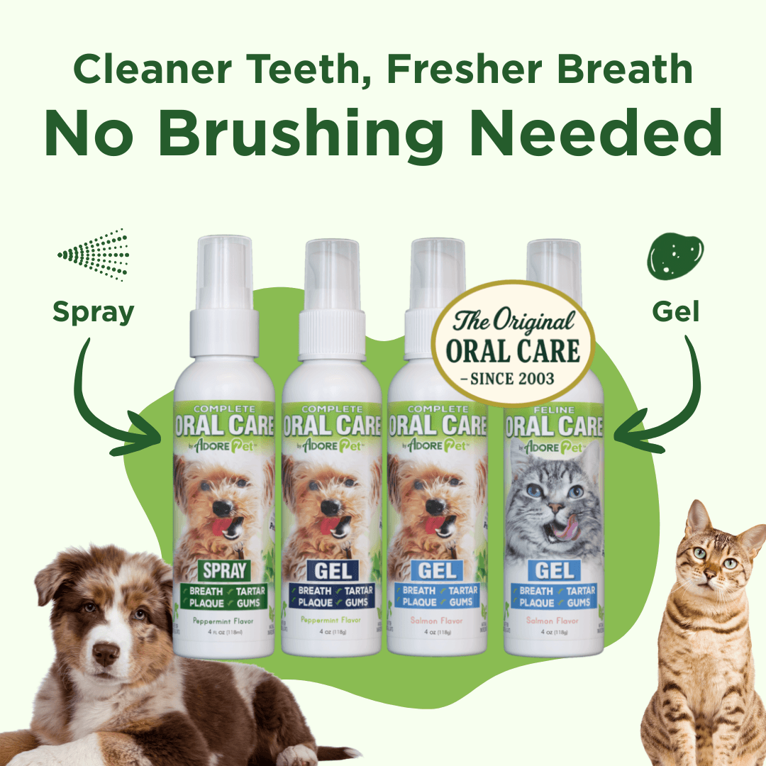 Oral Care Spray – No-Brush Pet Dental Care