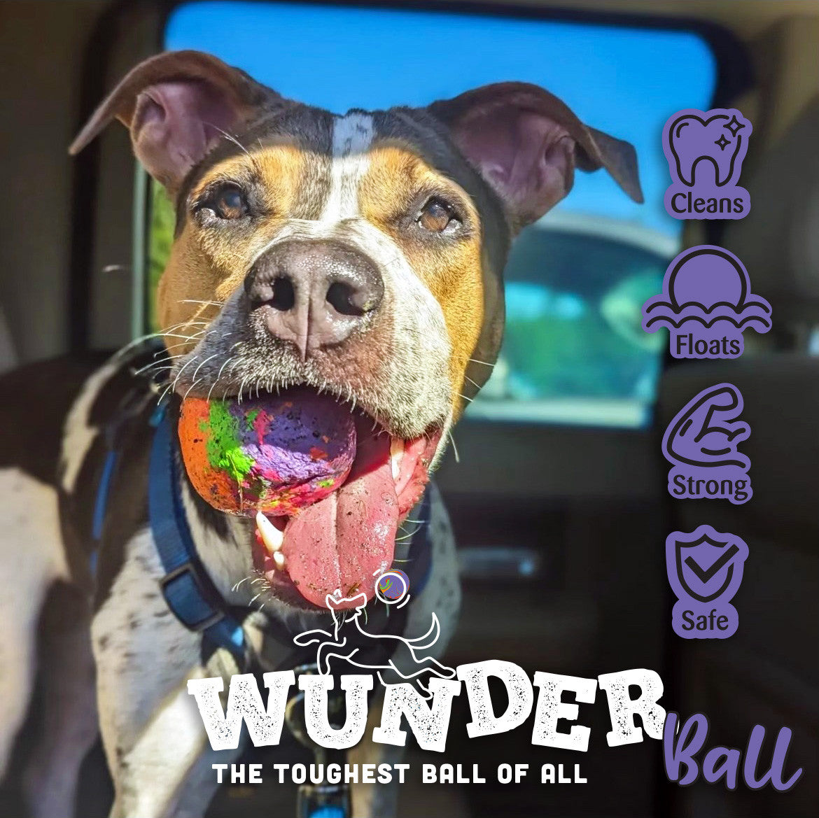 WUNDERball Fetch Toy – Durable Dog Ballh Toy