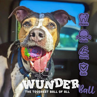WUNDERball Fetch Toy – Durable Dog Ballh Toy