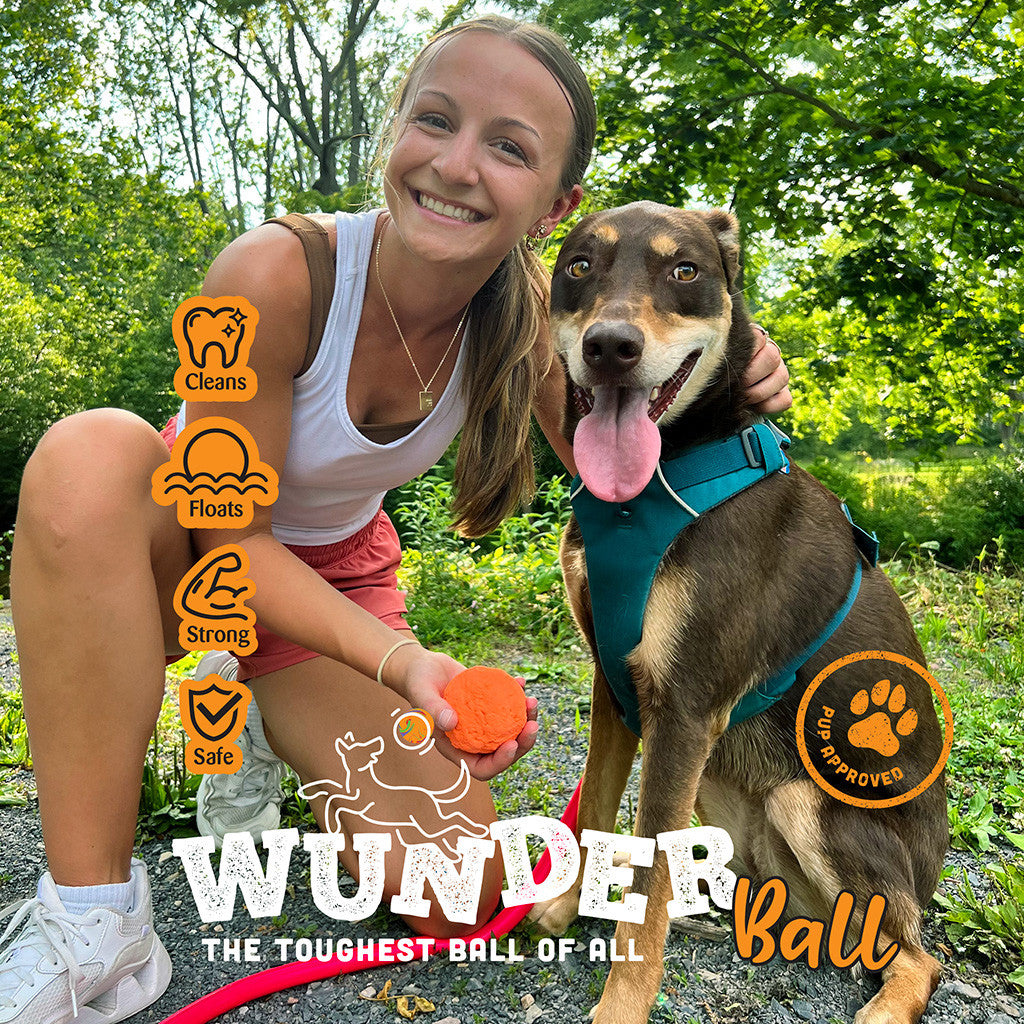 WUNDERball Fetch Toy – Durable Dog Ballh Toy