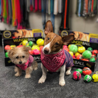 WUNDERball Fetch Toy – Durable Dog Ballh Toy