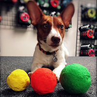 WUNDERball Fetch Toy – Durable Dog Ballh Toy
