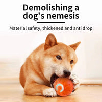 Interactive Moving Pet Ball – Smart Toy