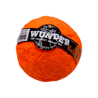 WUNDERball Fetch Toy – Durable Dog Ballh Toy